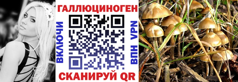 Псилоцибиновые грибы Magic Shrooms Рудня